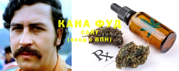 индика Армянск