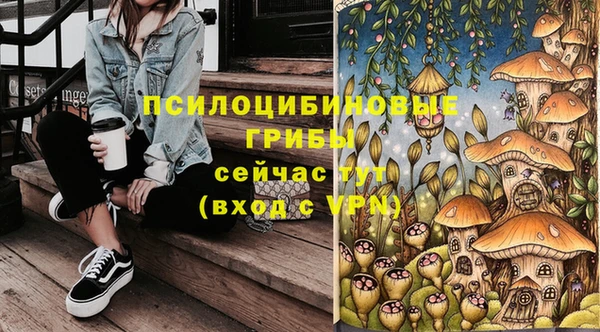 индика Армянск