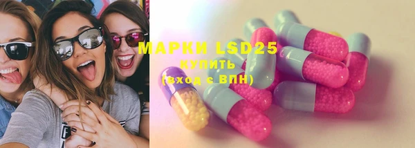 ГАЛЛЮЦИНОГЕННЫЕ ГРИБЫ Аркадак