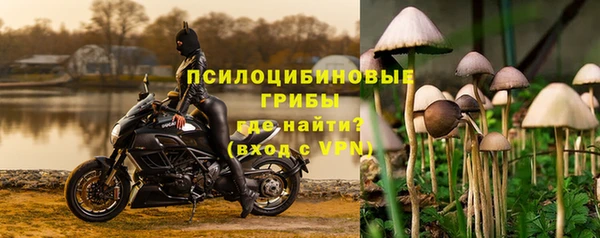 индика Армянск