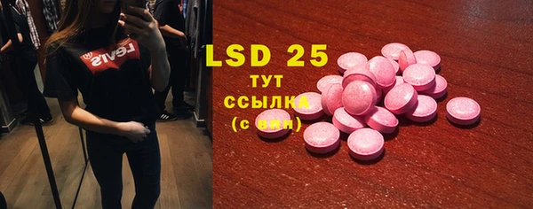 ГАЛЛЮЦИНОГЕННЫЕ ГРИБЫ Аркадак