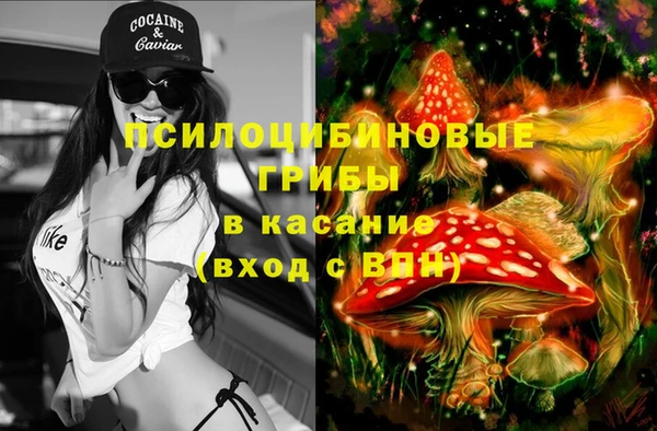индика Армянск