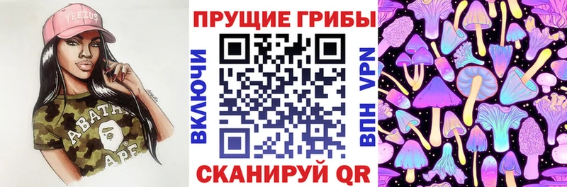 где можно купить наркотик  Асино  Псилоцибиновые грибы мицелий 